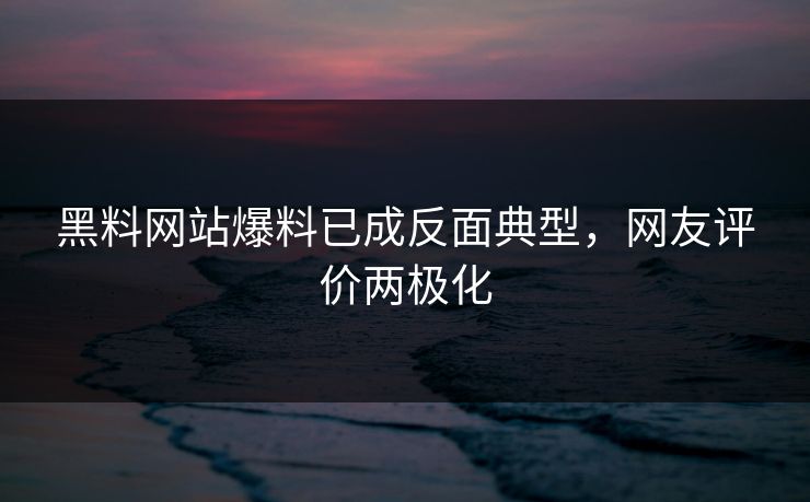 黑料网站爆料已成反面典型，网友评价两极化