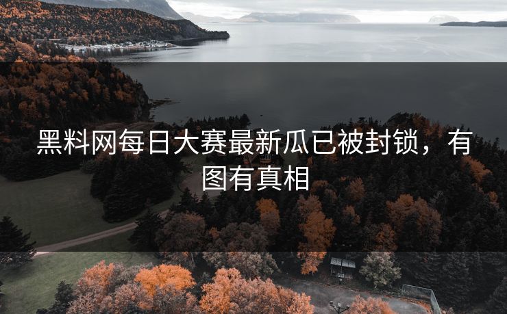 黑料网每日大赛最新瓜已被封锁，有图有真相