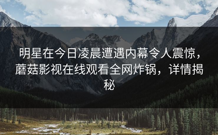 明星在今日凌晨遭遇内幕令人震惊，蘑菇影视在线观看全网炸锅，详情揭秘