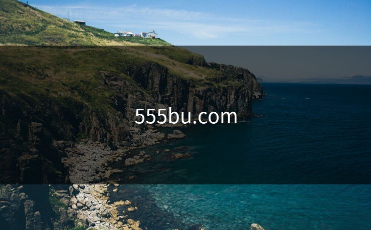 555bu.com