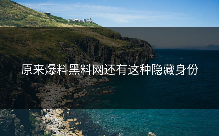 原来爆料黑料网还有这种隐藏身份