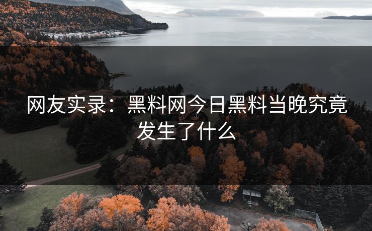 网友实录：黑料网今日黑料当晚究竟发生了什么