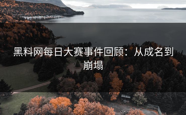 黑料网每日大赛事件回顾：从成名到崩塌