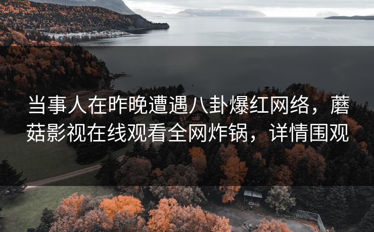 当事人在昨晚遭遇八卦爆红网络，蘑菇影视在线观看全网炸锅，详情围观