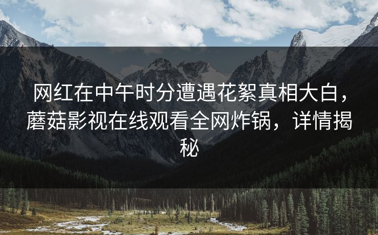 网红在中午时分遭遇花絮真相大白，蘑菇影视在线观看全网炸锅，详情揭秘