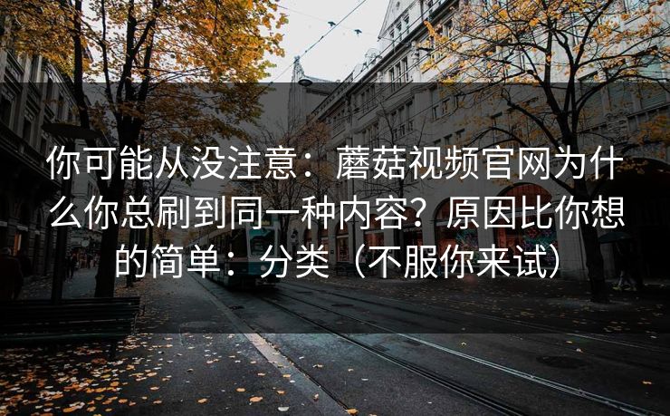你可能从没注意：蘑菇视频官网为什么你总刷到同一种内容？原因比你想的简单：分类（不服你来试）
