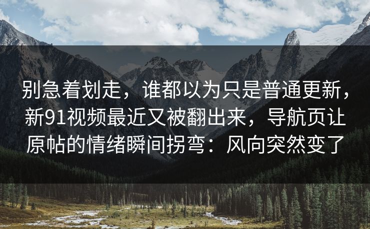 别急着划走，谁都以为只是普通更新，新91视频最近又被翻出来，导航页让原帖的情绪瞬间拐弯：风向突然变了